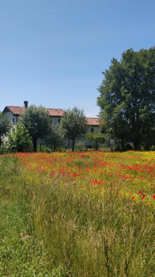 Porte Di Venezia, Tessera Aeroporto Hotel Favaro Veneto Eksteriør billede